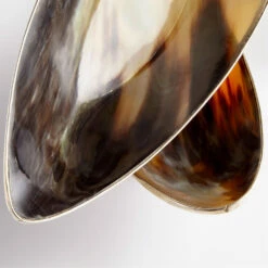Cerith Horn And Silver Tray, Large 7 Cerith Horn And Silver Tray, Large -Tristen shop 09837 2