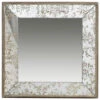 Anita Gold And Mirrored Tray -Tristen shop ds31502