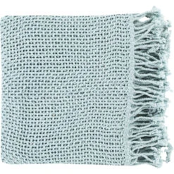 Tibey 70 X 50 Inch Ice Blue Throw, Rectangle