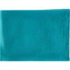 Thalia 67 X 50 Inch Aqua Throws -Tristen shop thl4001 5067